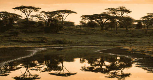 アフリカの安全なロケに必須の、撮影コーディネーターの存在