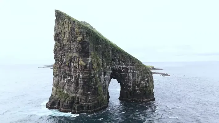 グレートネイチャー